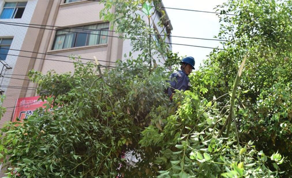 輸電線路防外破監測 輸電線路防外破監測