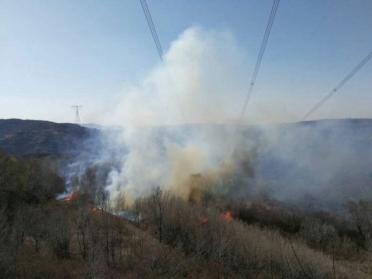 防山火在線監測裝置 輸電線路防山火的“秘密武器” 防山火在線監測裝置 輸電線路防山火的“秘密武器”