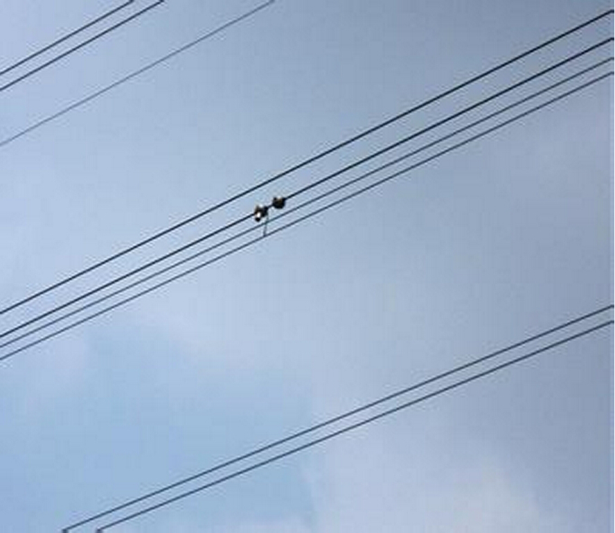 架空輸電線路弧垂在線監(jiān)測預(yù)警系統(tǒng) 架空輸電線路弧垂在線監(jiān)測預(yù)警系統(tǒng)