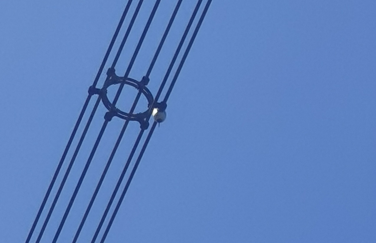 特力康輸電線路弧垂在線監測裝置傳感器 特力康輸電線路弧垂在線監測裝置傳感器