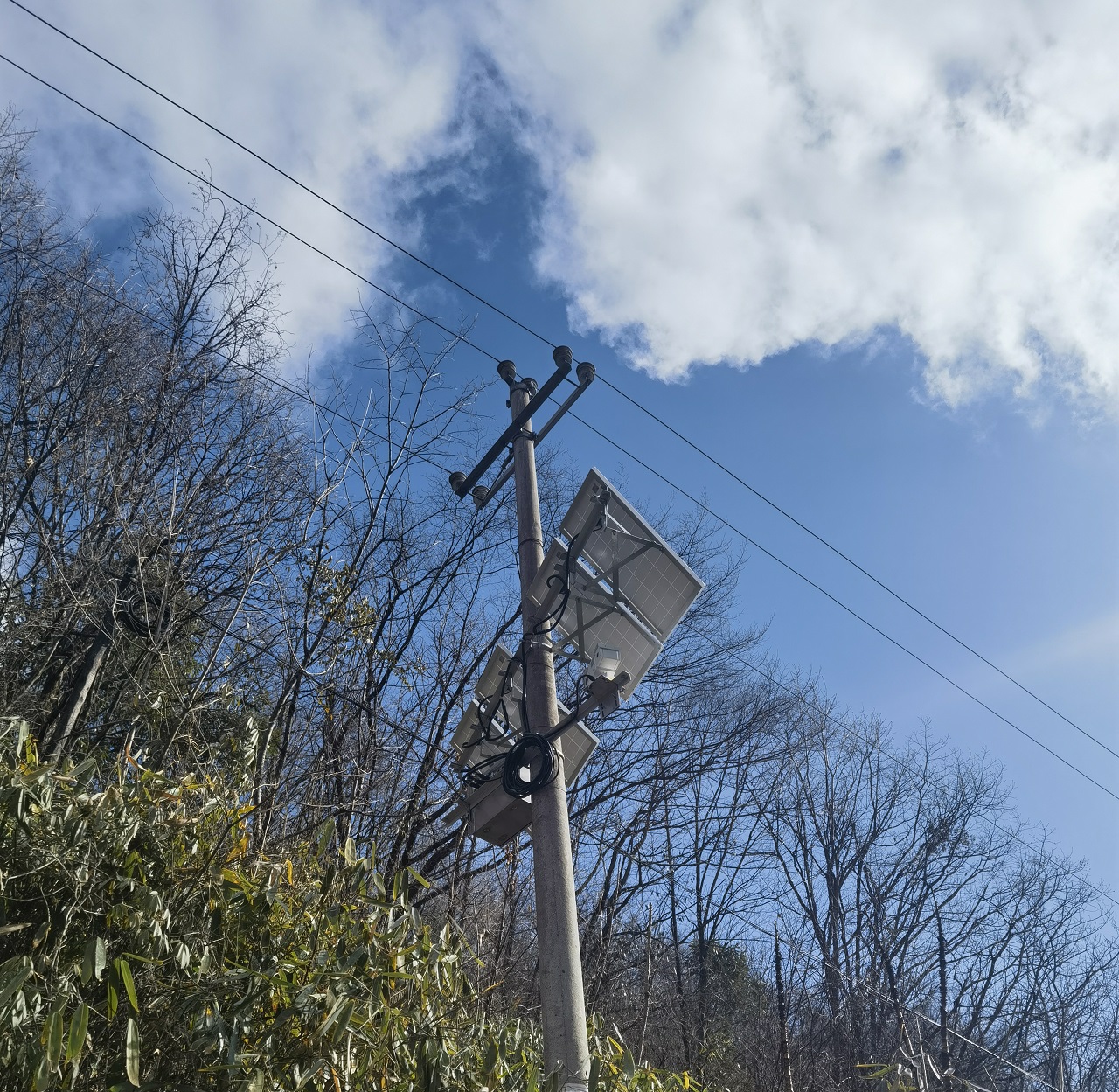 深圳特力康輸電線路防山火視頻監控系統 深圳特力康輸電線路防山火視頻監控系統